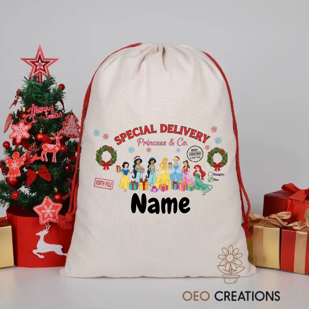 Disney Princess Santa Sack